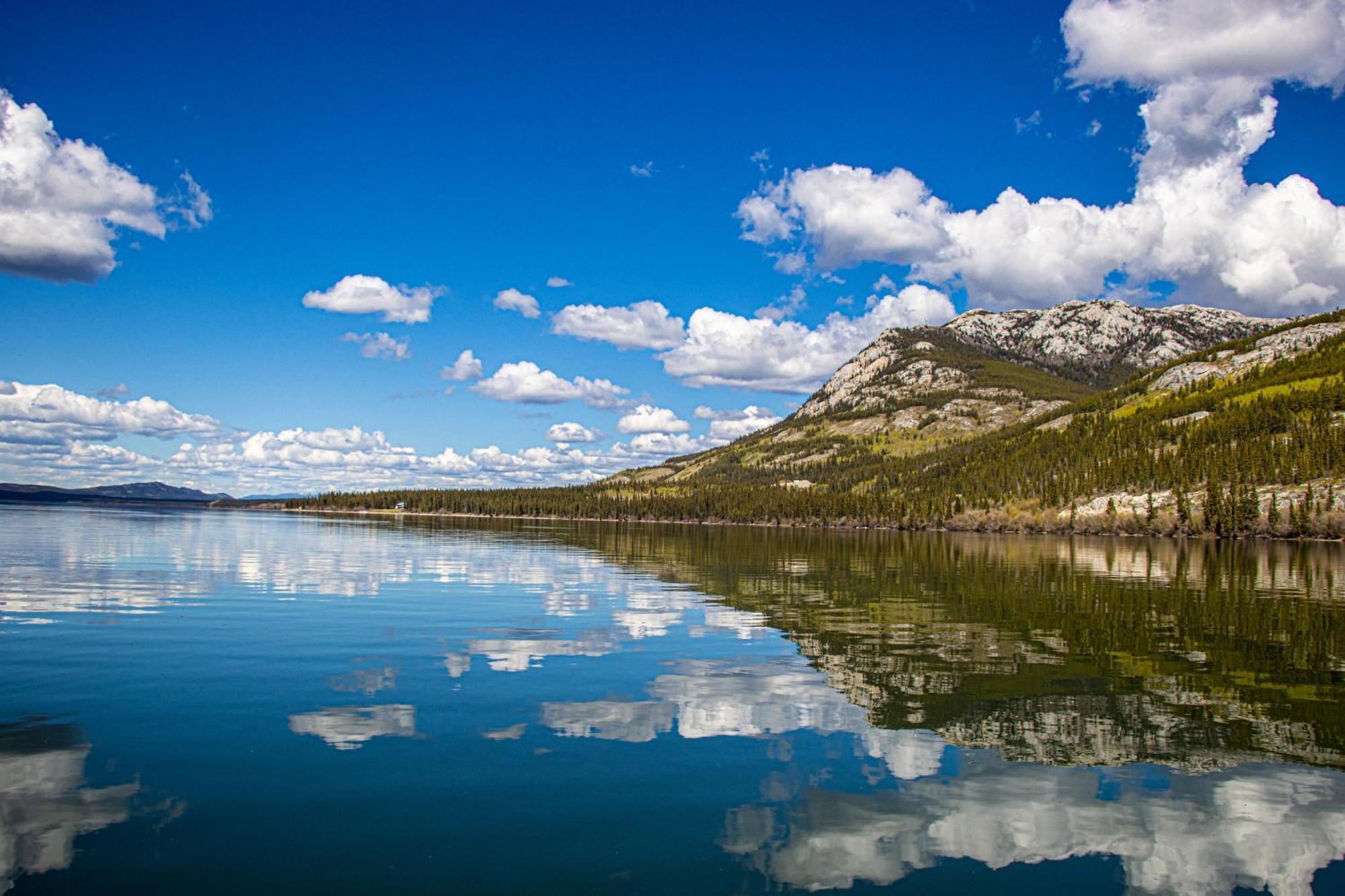 Little Atlin Lodge Tagish Eksteriør billede