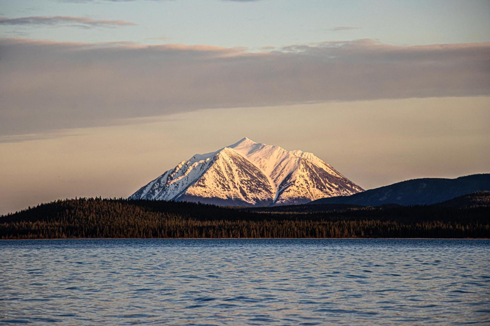 Little Atlin Lodge Tagish Eksteriør billede